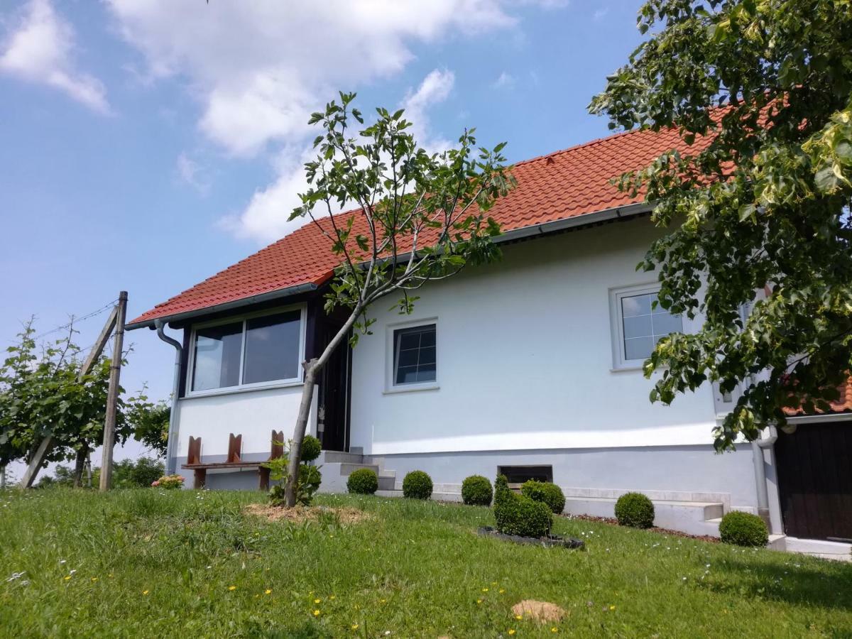 Villa Kuca Za Odmor ,,Oletic 2" Sveti Martin Na Muri Exterior foto