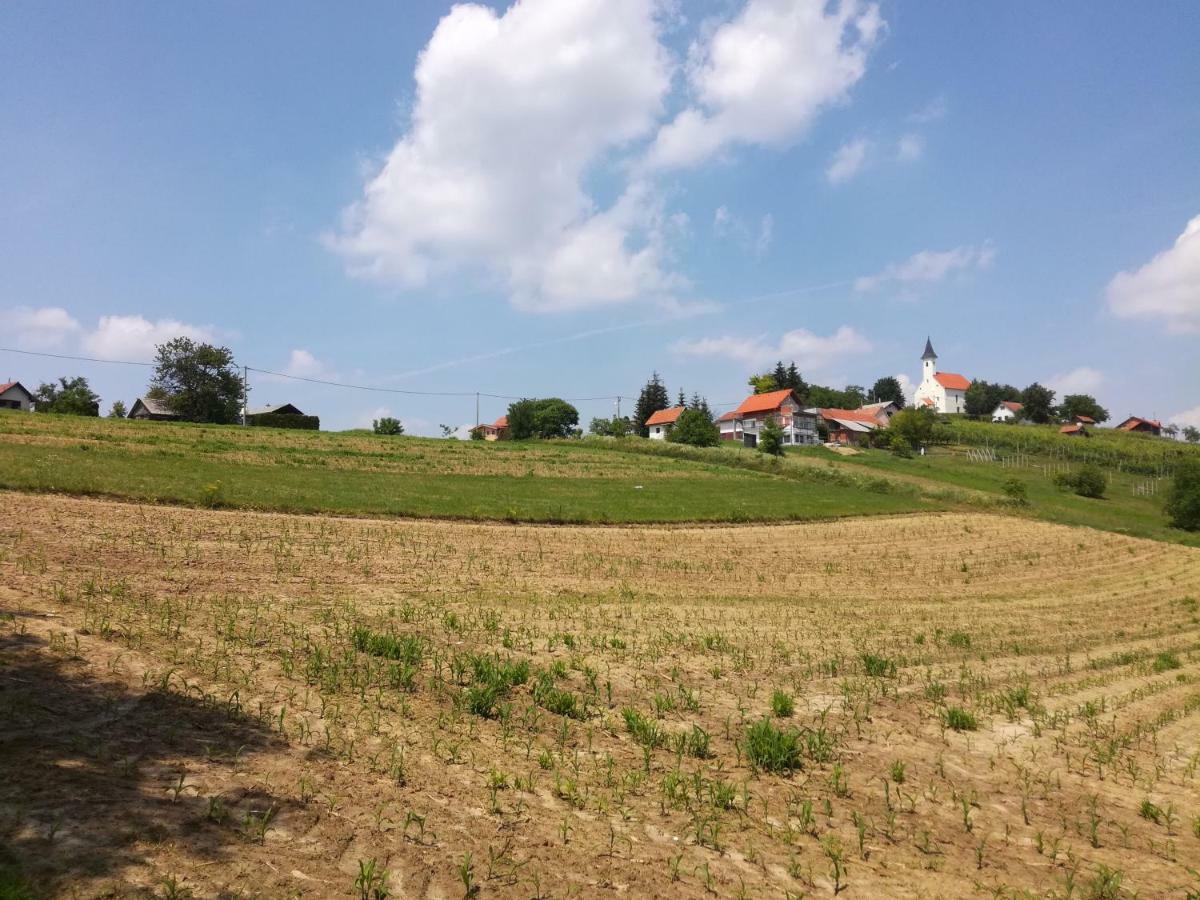 Villa Kuca Za Odmor ,,Oletic 2" Sveti Martin Na Muri Exterior foto