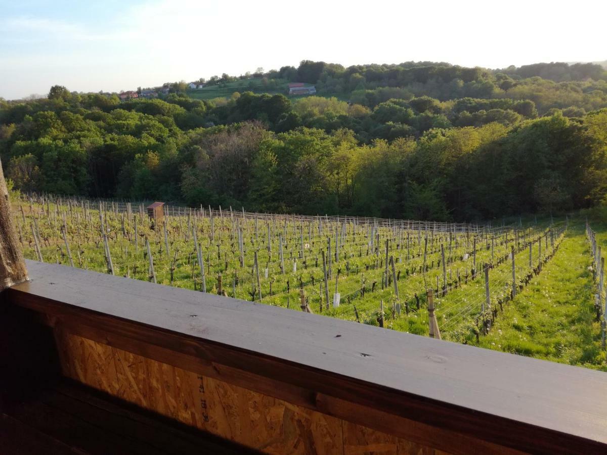 Villa Kuca Za Odmor ,,Oletic 2" Sveti Martin Na Muri Exterior foto